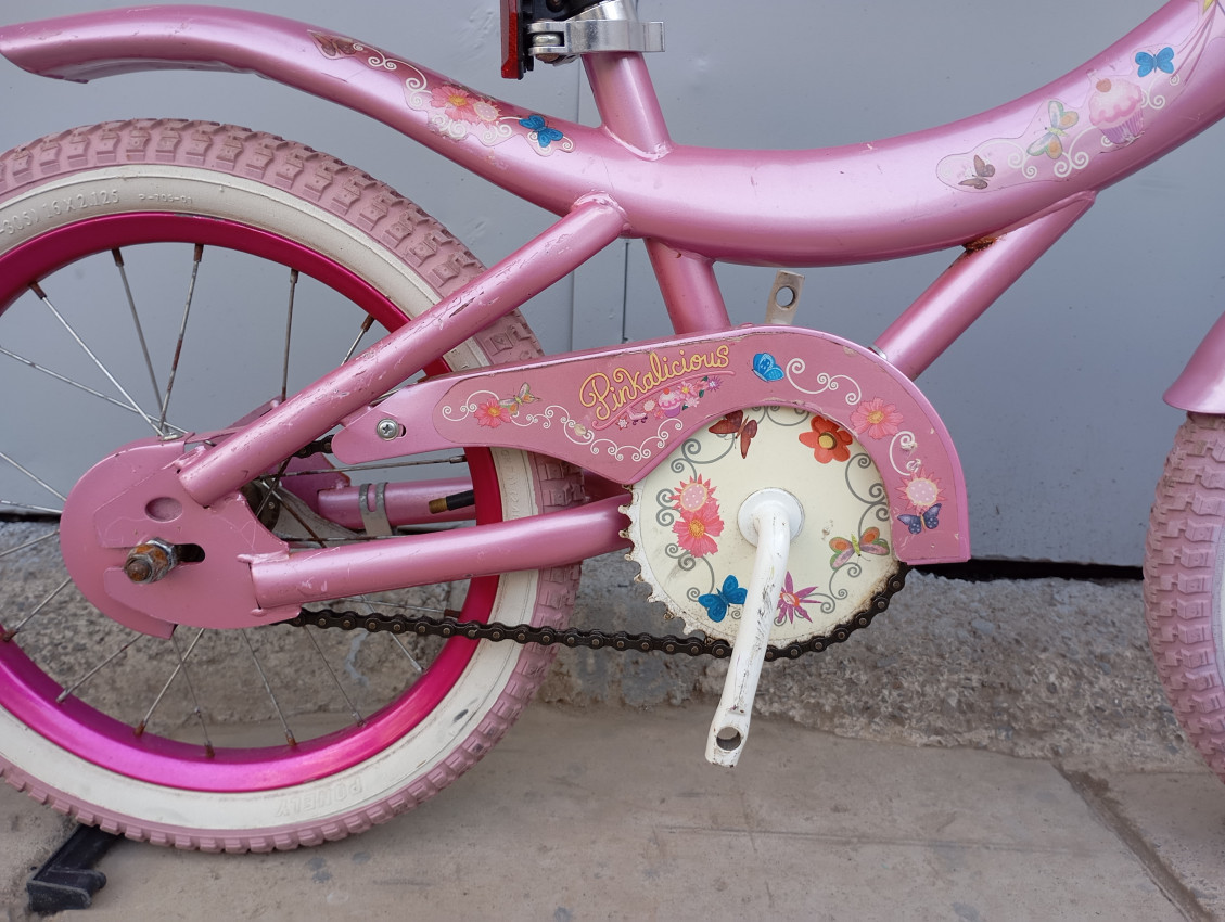 Pinkalicious bike hotsell