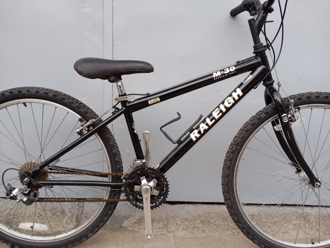 Raleigh m30 mountain bike online