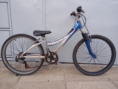 Trek Mountain Track 220