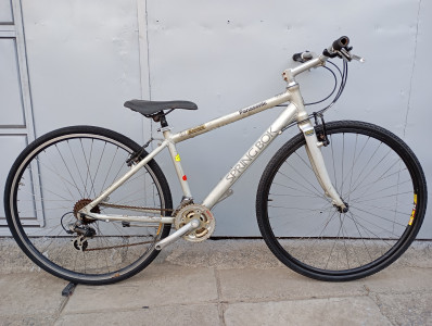 Panasonic Spring Bok